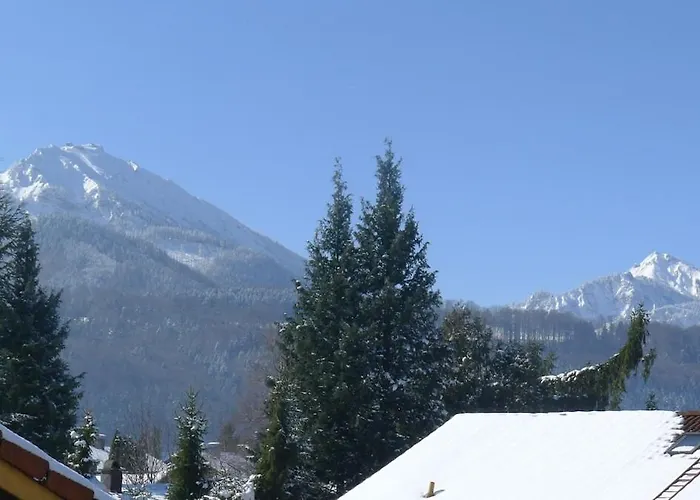 Alpenpanorama Vacation Apartment *